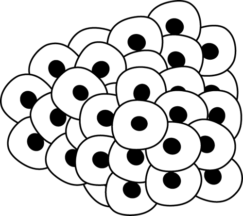 Egg Clipart Line Drawing - Drawing Of Frog Egg (500x445), Png Download