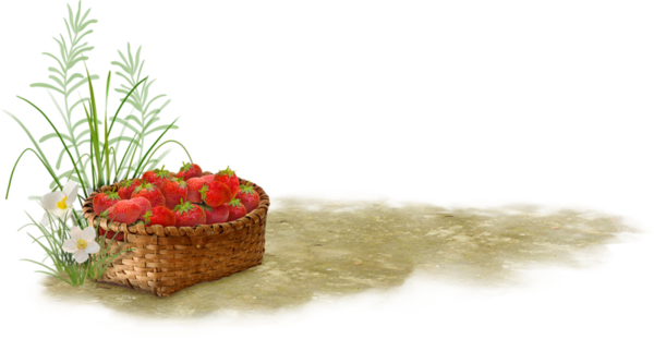 Fc6326af - Fruit (600x311), Png Download