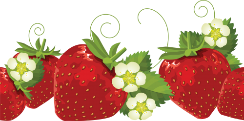 Strawberry Thirty - Strawberry Borders Clip Art (500x248), Png Download