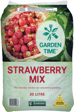 Garden Time Strawberry Mix - Garden (350x450), Png Download