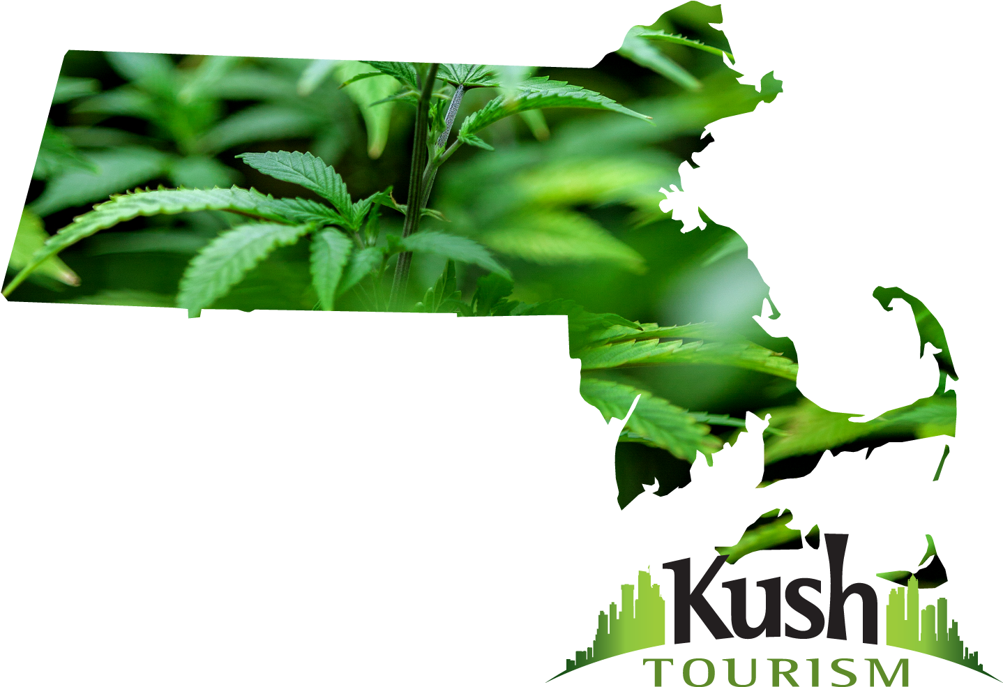 Ma - Legal Marijuana Massachusetts (1500x1125), Png Download