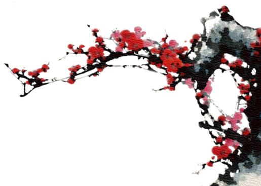 梅花 - - 梅 兰 竹 菊 (514x375), Png Download