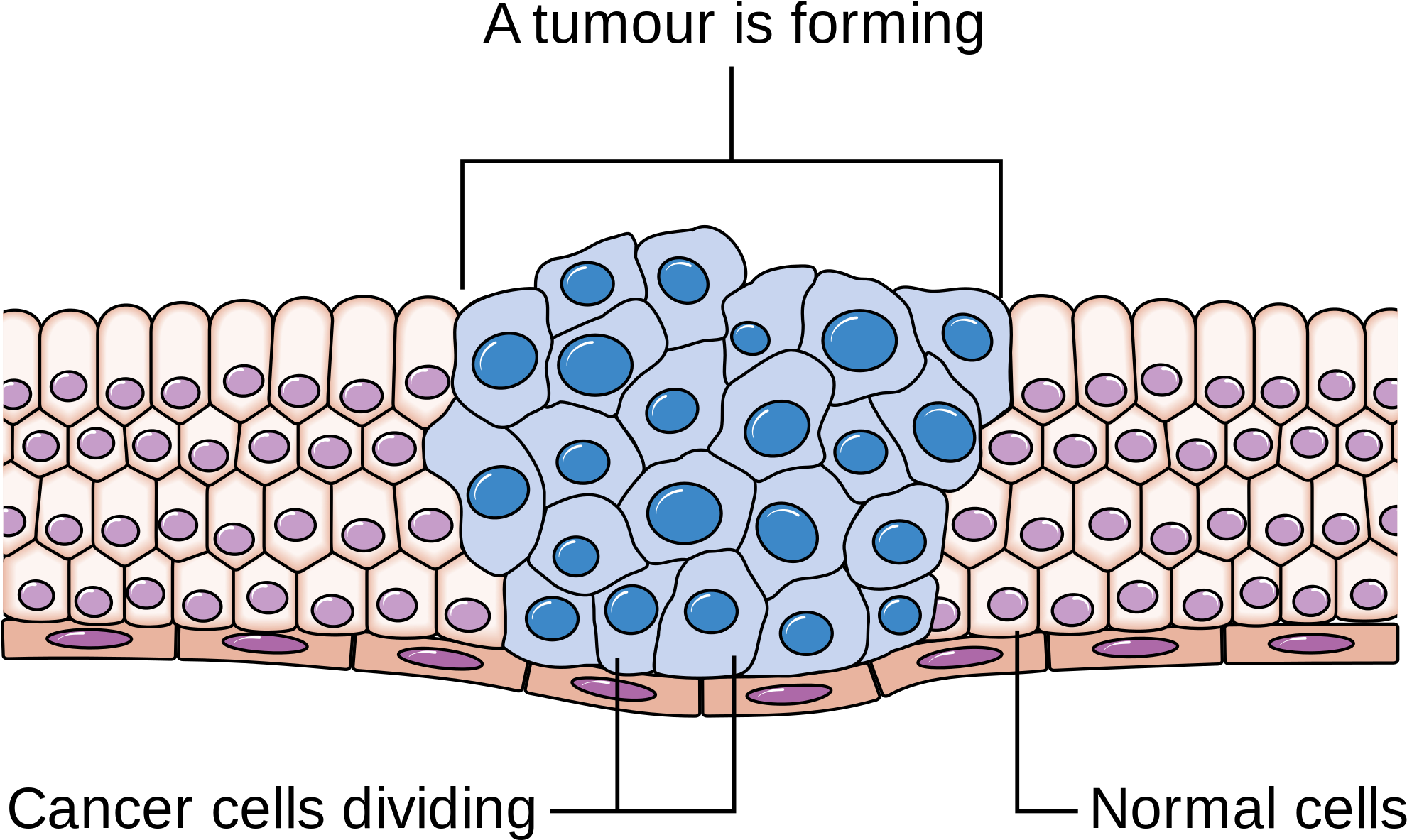 Drugs Used To Target Tumour Cells During Chemotherapy (2000x1608), Png Download