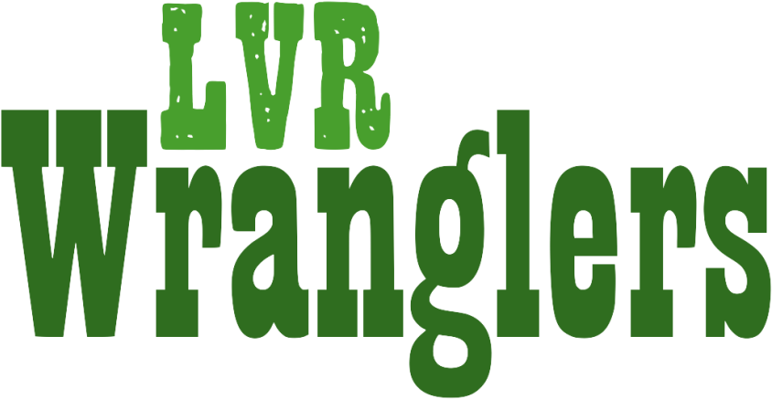 Lvr Junior Wrangler Program - Happy Camper Rectangle Magnet (900x507), Png Download