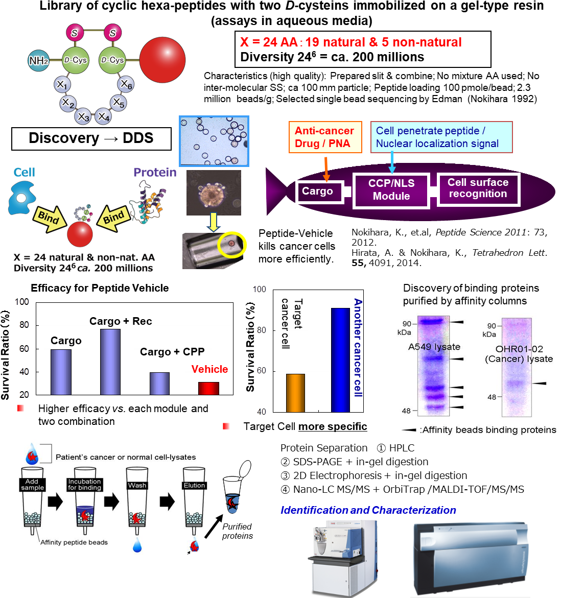 For Practical Use Patient Cancer Cells Were Obtained - Ltq Orbitrap Xl (1127x1184), Png Download