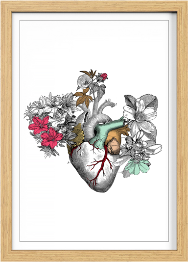Cuadro Corazón Blanco - First Times By Maxwell E Bevilacqua (800x600), Png Download