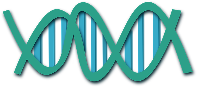 Dna Helix Science Biology Research Medicin - Dna Clip Art (680x340), Png Download