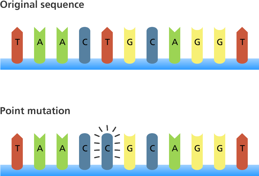 Mutant Clipart Point Mutation - Point Mutation (1200x642), Png Download