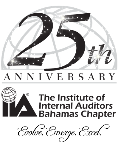 Internal Audit (433x501), Png Download