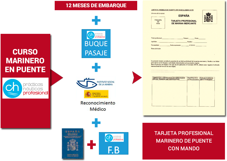 Requisitos Para Obtener La Tarjeta Profesional De Marinero - Sailor (800x564), Png Download