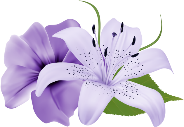Purple Deco Flowers Png Clipart 179 0 - Lily Flower Purple Png (640x440), Png Download