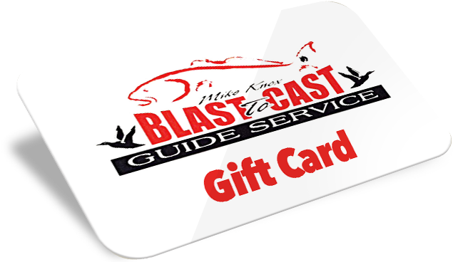 Now Offering Gift Cards, Please Call For More Info - South Padre Island, Texas (648x432), Png Download