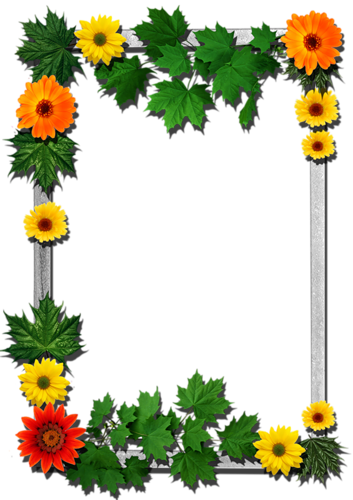 B *✿* Borders For Paper, Borders And Frames, Halloween - Download Free Flower Frame Png (353x500), Png Download
