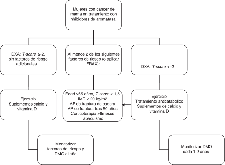 Algoritmo Diagnóstico Y Terapéutico Para Mujeres Con - Algoritmo Cancer De Mama (850x624), Png Download