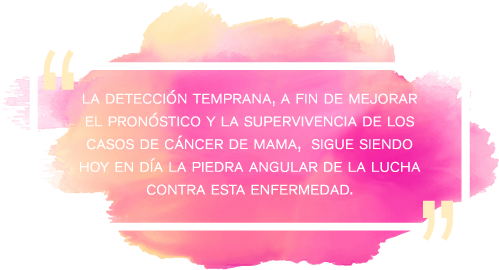 A Este Día El 19 De Octubre Como El Día Para Conmemorar - Lilac (600x288), Png Download