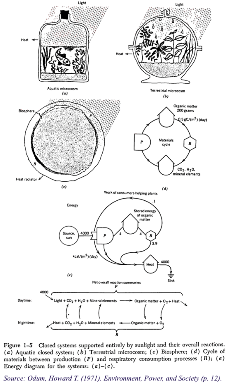 Accordingly, Odum Suggested Studying Ecosystems As - Diagram (886x1350), Png Download
