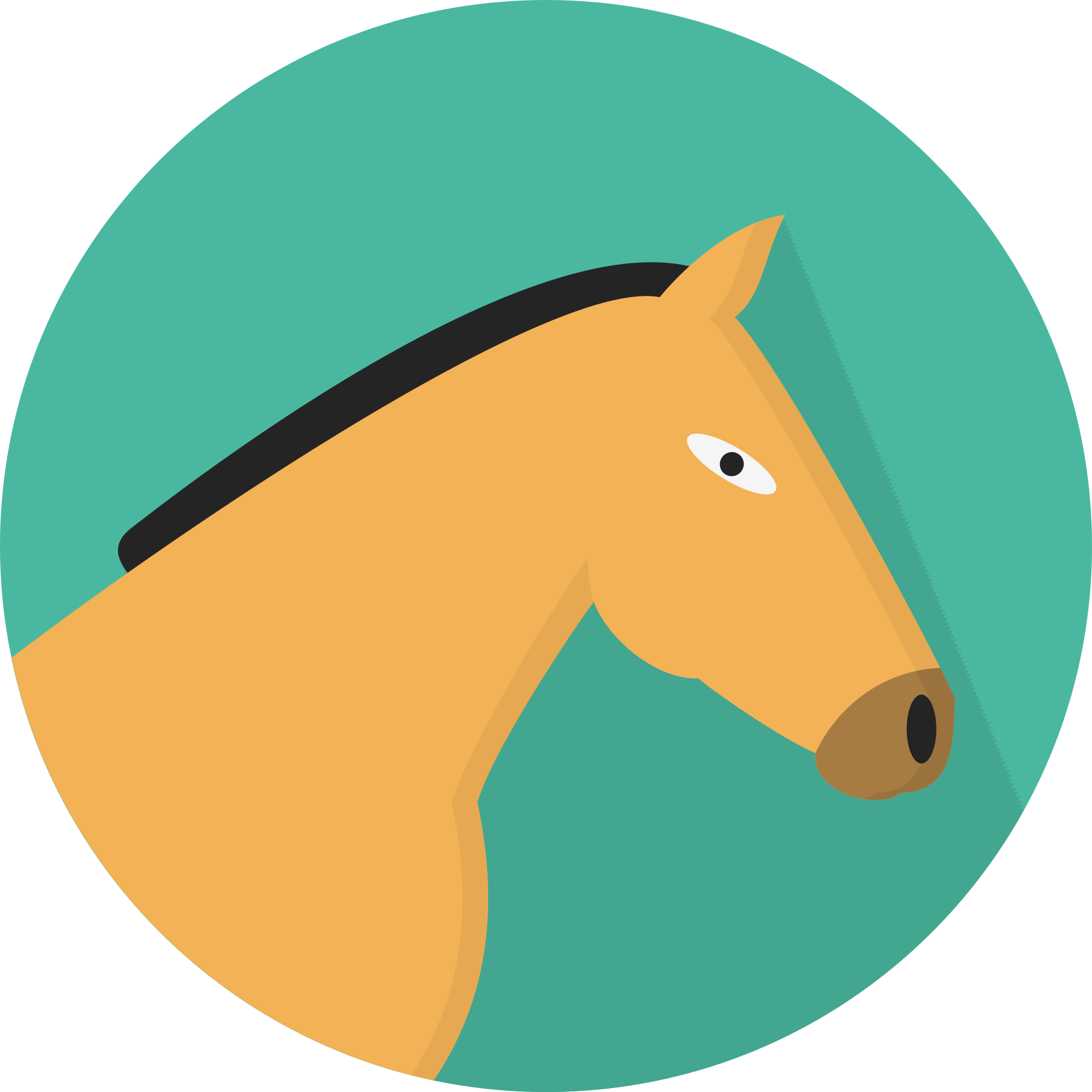 Open - Horse (2000x2000), Png Download