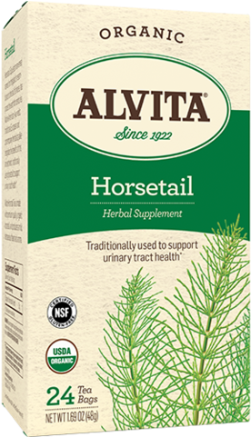 Default Title - Alvita Horsetail Tea - 24 Bags (480x480), Png Download