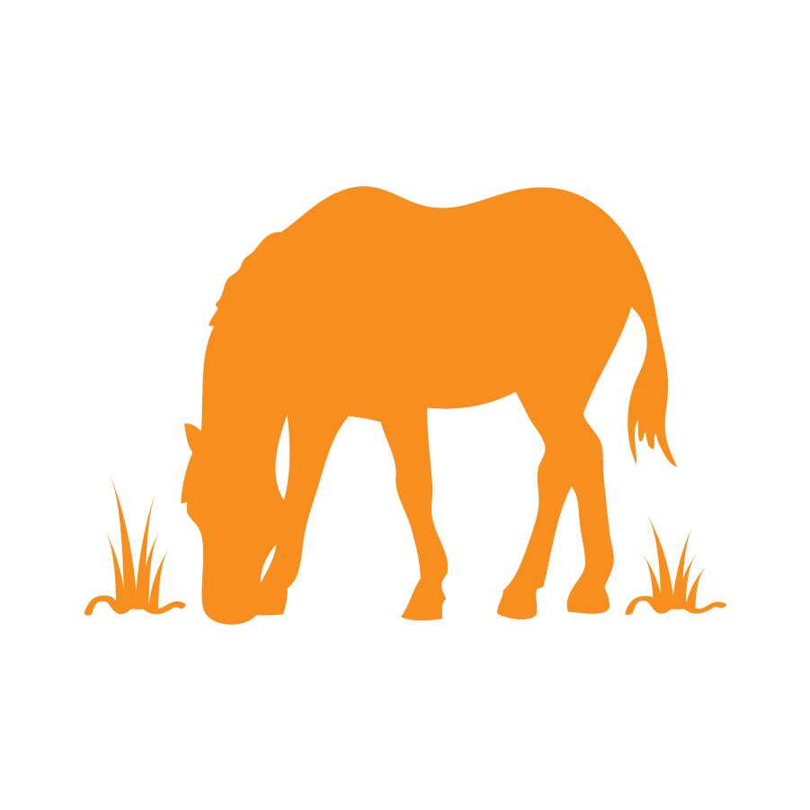 Horse & Farm Committee Icon - Horse (1000x1000), Png Download