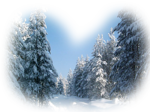 Realistic Winter Landscapes By Evgeniy Karlovich - Shalkiya (500x375), Png Download