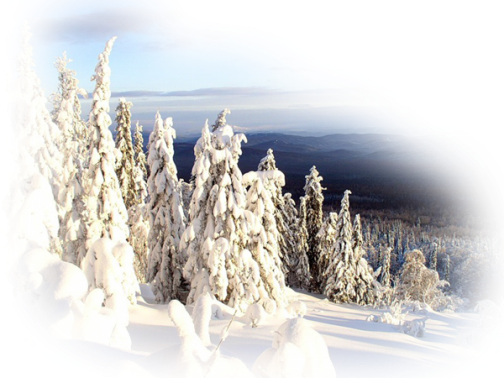 Realistic Winter Landscapes By Evgeniy Karlovich - Winter Snow Nature Real (504x378), Png Download