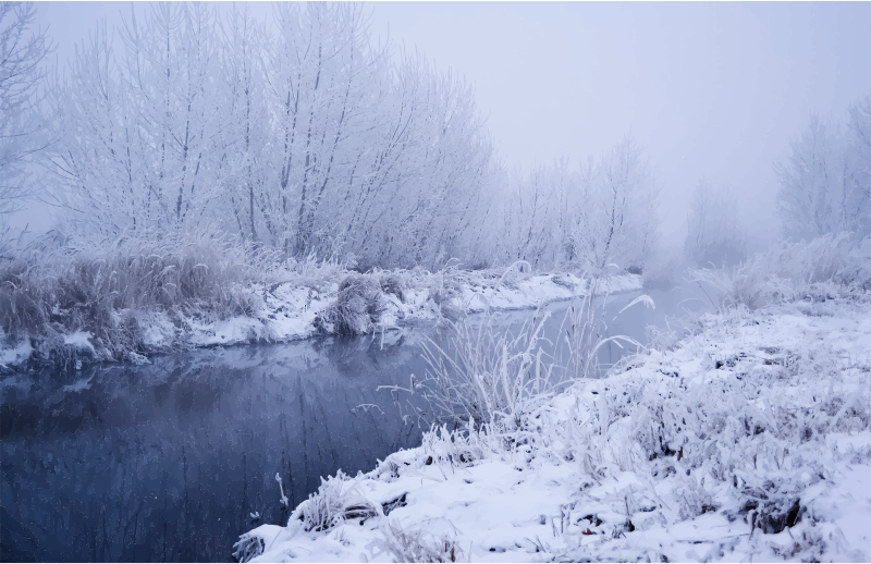 Medium Image - Winter Scenes With River (800x518), Png Download