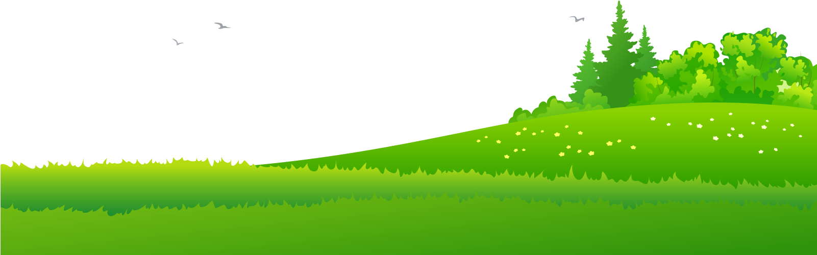 Delray Beach Public Library Childrens Para Bg 3c - Illustration (1600x707), Png Download