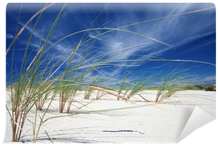 Close-up Of Beach Grass With A Bright Blue Sky As Backdrop - Sketch (400x400), Png Download