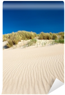 Sand Dunes With Beach Grass In The Netherlands Wall - Photograph (400x400), Png Download