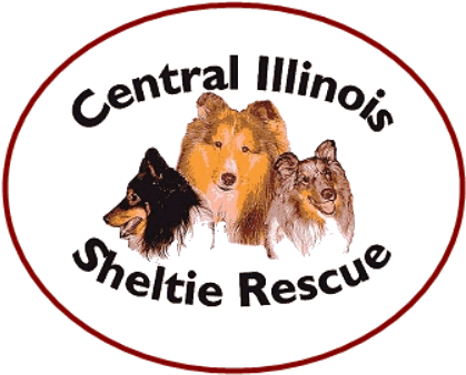 Central Illinois Sheltie Rescue (509x367), Png Download