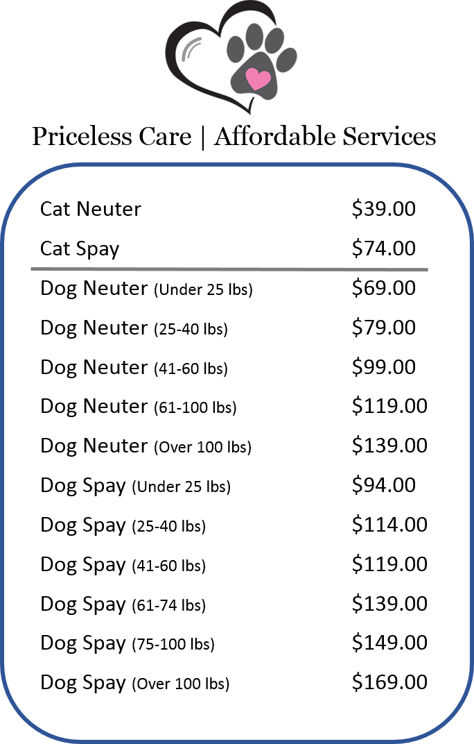 Sx Tab - E - Portable Network Graphics (684x1072), Png Download