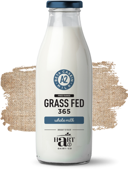 Hart Dairy Grass Fed Whole Milk - Milk (340x360), Png Download