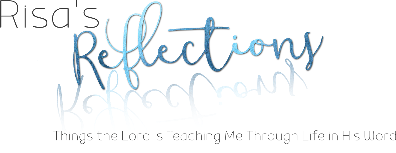 Risa's Reflections - Calligraphy (1600x537), Png Download