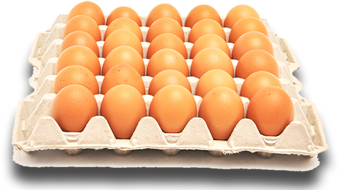 Download Huevos Cajumar Venta Carton De Huevos Full Size Png Image Pngkit