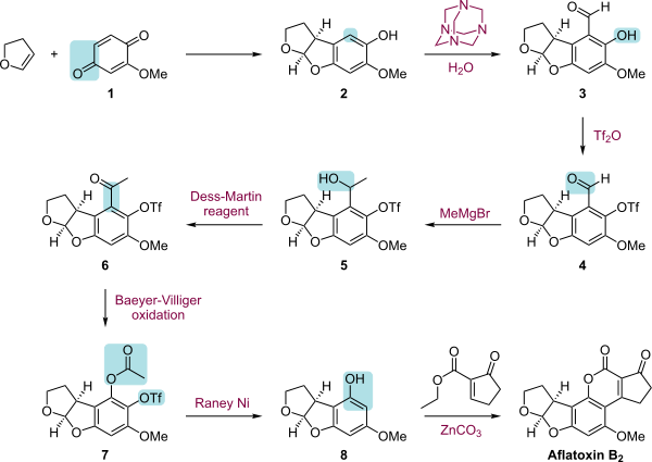 Aflatoxin Total Synthesis - Synthesis Of Aflatoxin B1 (600x425), Png Download