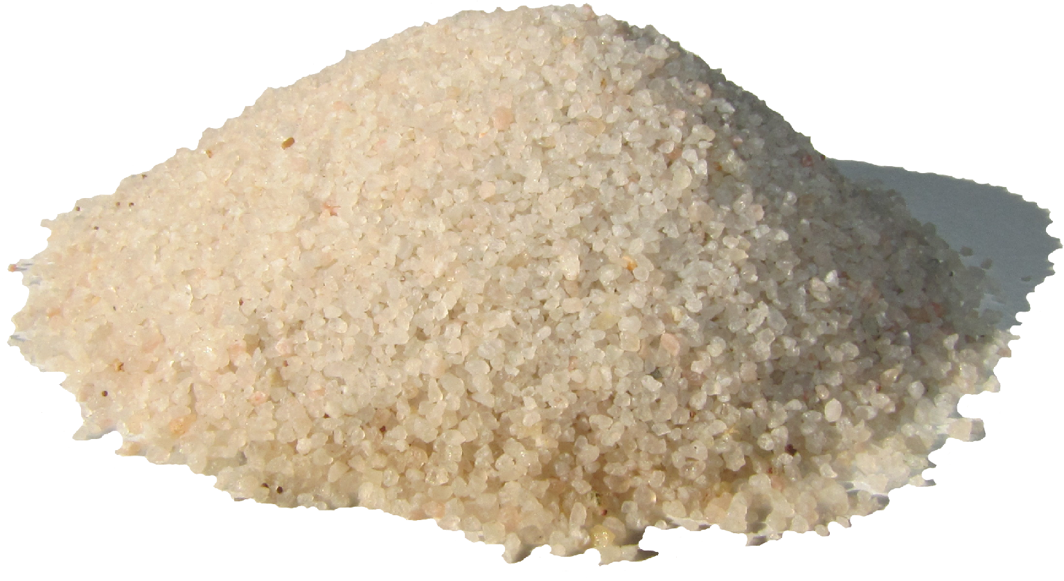 Huevos De Triops Cancriformis - Triops Cancriformis (1600x1600), Png Download