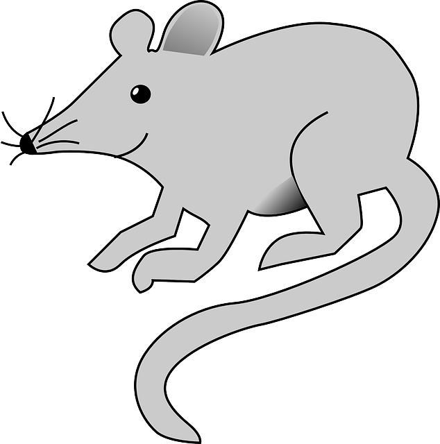 Mouse, Cartoon, Rat, Grey, Animal, Tail, Arts, Rats - Rat Clip Art (634x640), Png Download