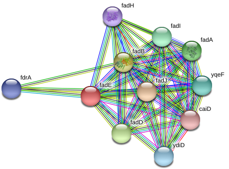 Circle (976x376), Png Download