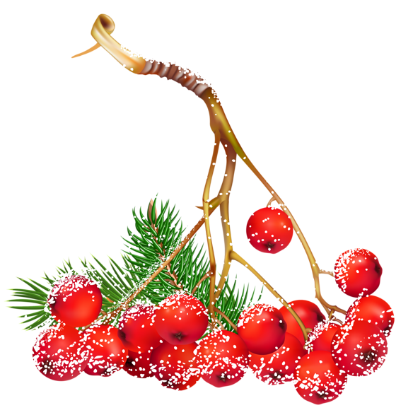 0, - Berries Clipart Transparent (600x596), Png Download