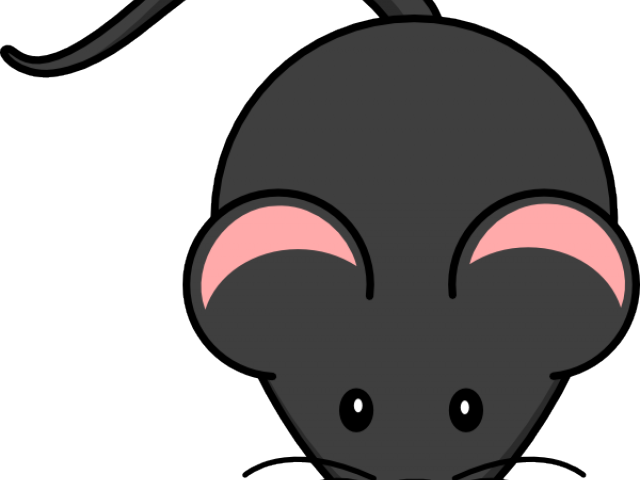 Mice Clipart Rat - Cute Mouse (640x480), Png Download