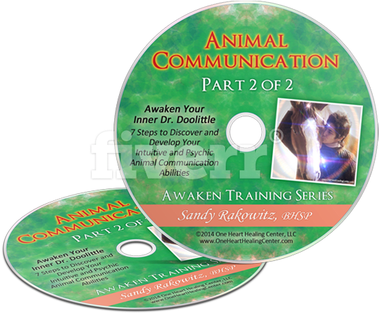 Compact Disc (600x536), Png Download