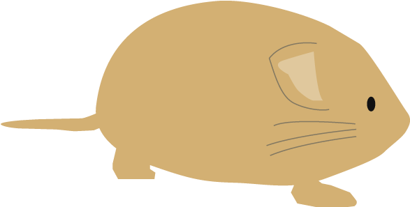 Free Download Rat Clipart Whiskers Clip Art - Reptile (640x640), Png Download