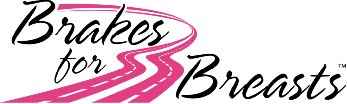 Automotive Specialty Services Of Avon Ohio In Support - Brakes For Breast (700x211), Png Download