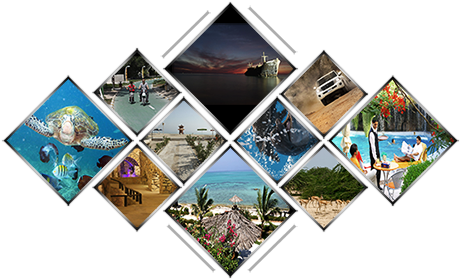 The Course Also Enables Students To Comprehend Simple - Beautiful Island Of Kish (475x290), Png Download