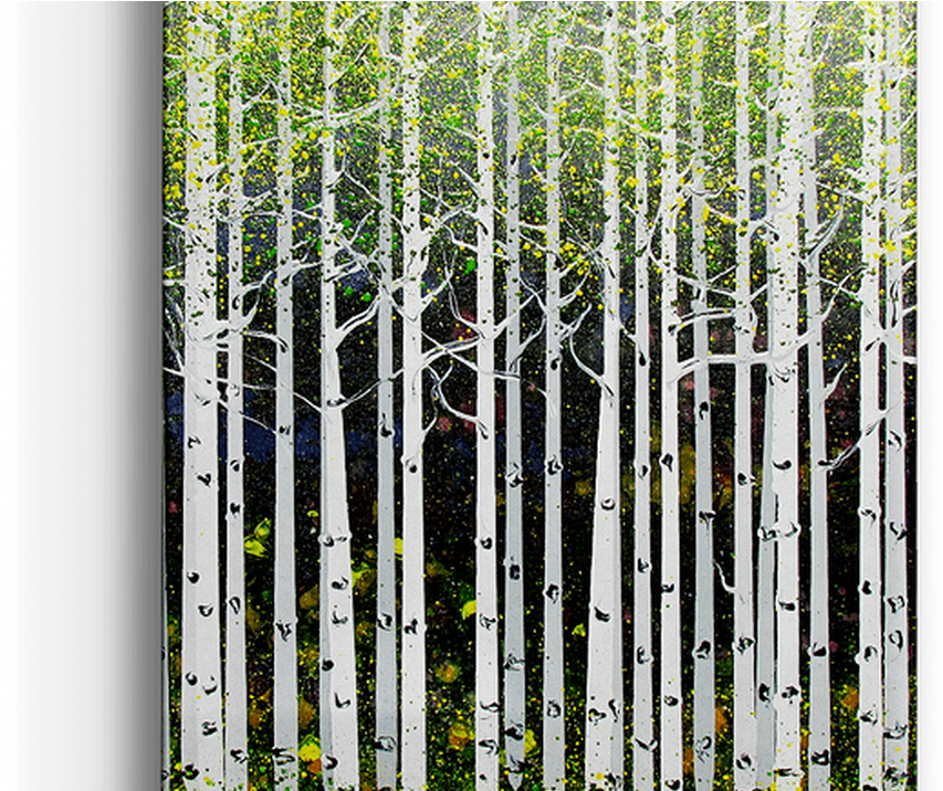 Download Summer Aspen Trees Box Art