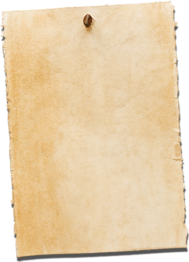 Bear Creek Sign Shop Is One Helluva Custom Wood Carvin - Vellum (400x542), Png Download