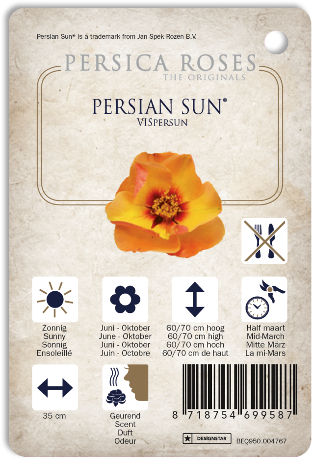 Persian Sun™ - Hibiscus (659x1024), Png Download