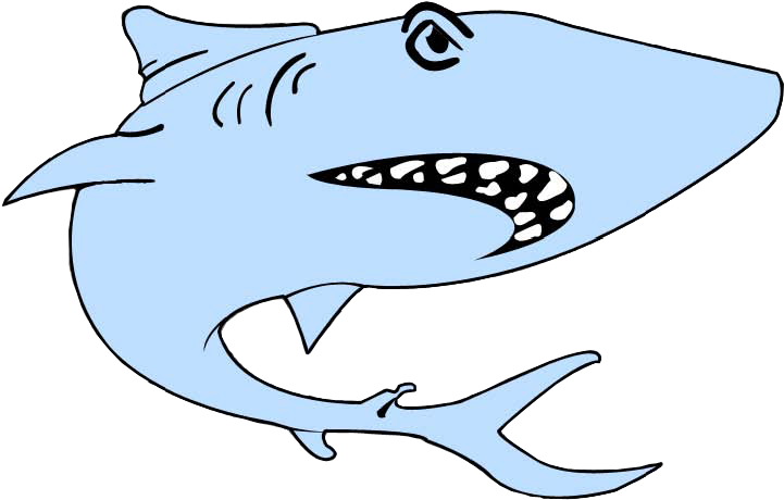 Workout Schedule - Great White Shark (829x558), Png Download