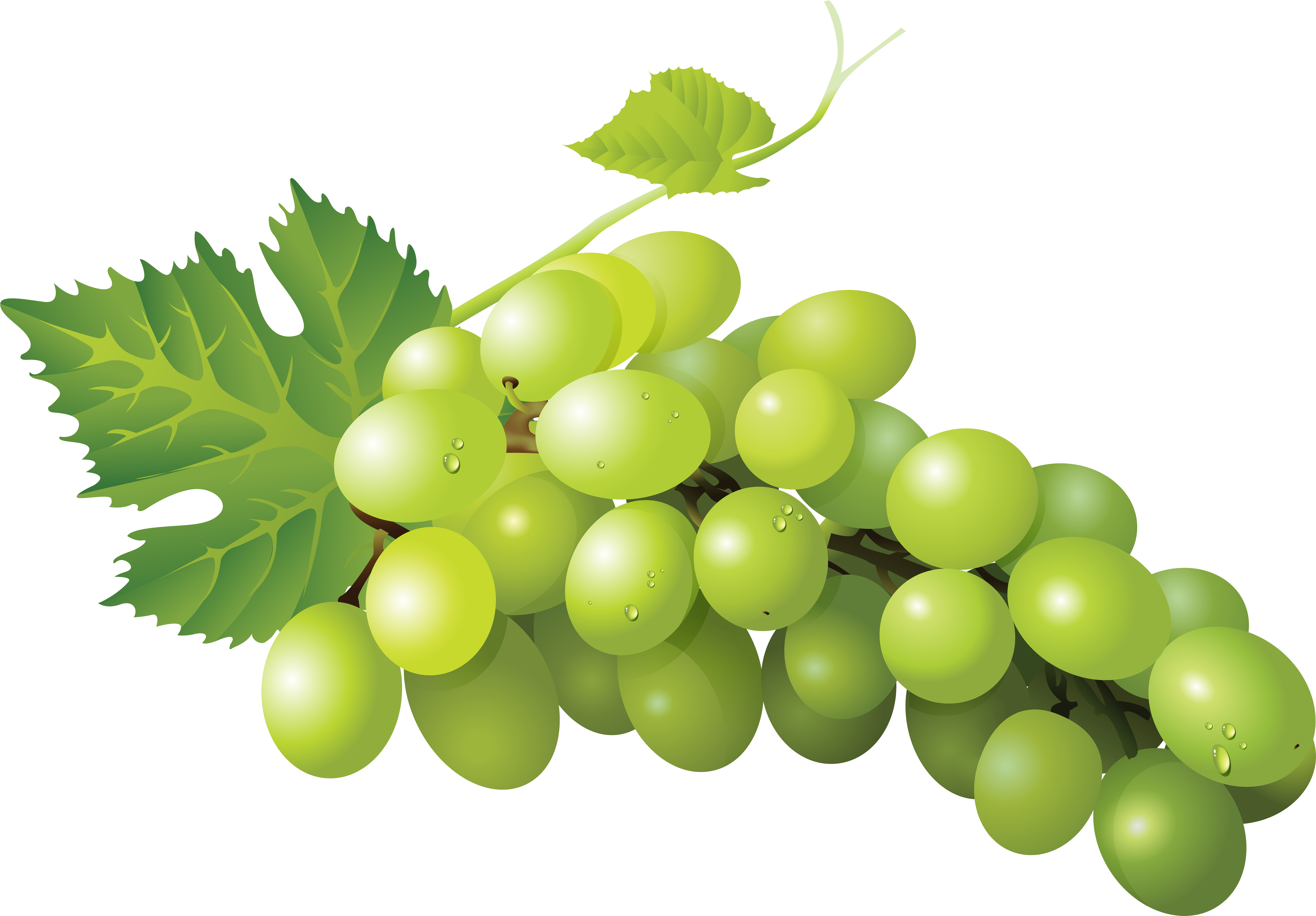 Grapetransparent (8000x5570), Png Download