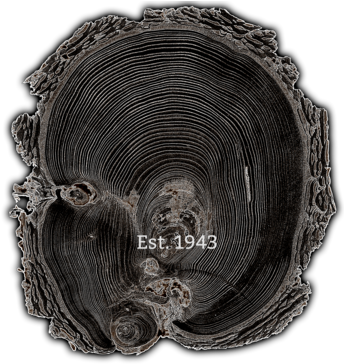 1943 - Art (345x377), Png Download